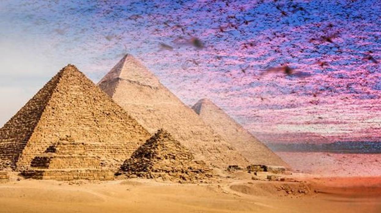 Plagas de Egipto