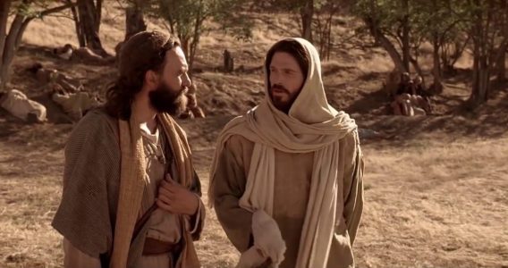 Las espinas en el camino del seguimiento