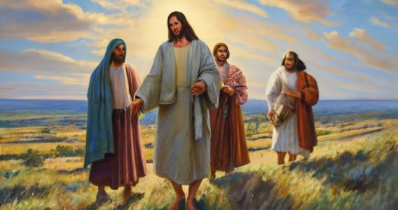 La Mies Abundante: Reflexiones sobre el Envío de los Setenta y Dos – Lucas (10,1-9)